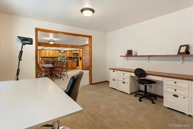 16382 Falcon Drive Nathrop, CO 81236