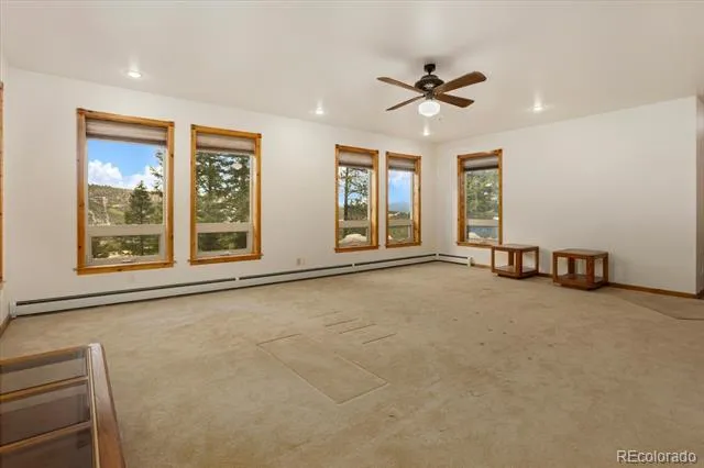 16382 Falcon Drive Nathrop, CO 81236