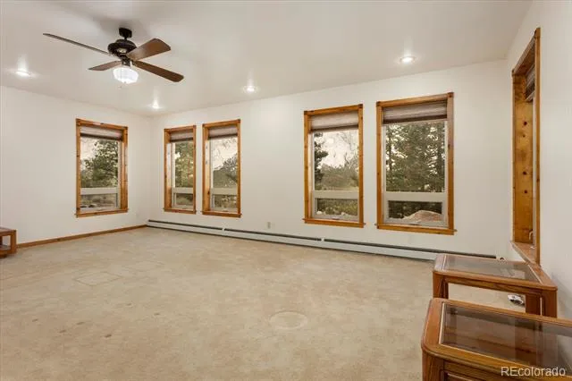16382 Falcon Drive Nathrop, CO 81236