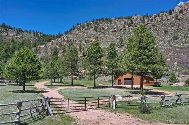 437 Langnis Road Guffey, CO 80820