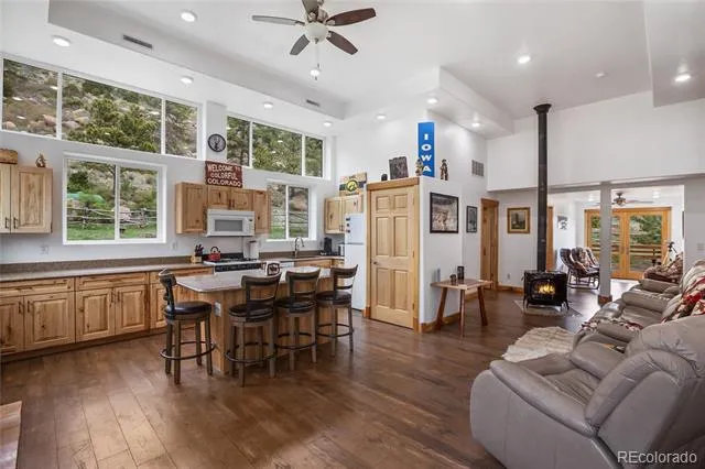 437 Langnis Road Guffey, CO 80820