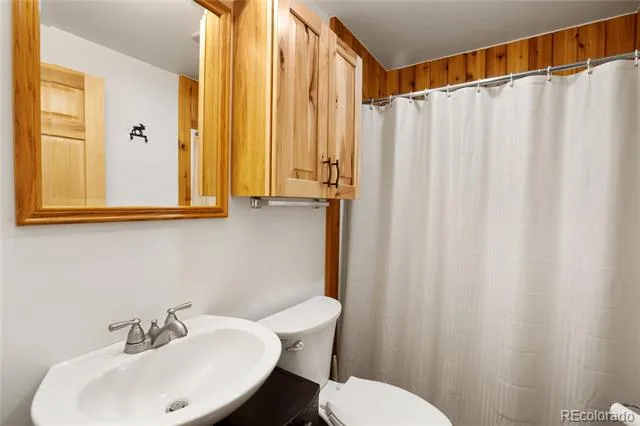 437 Langnis Road Guffey, CO 80820