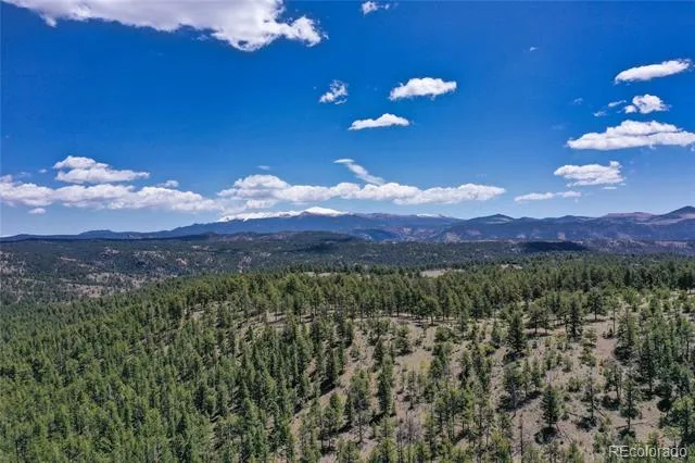 437 Langnis Road Guffey, CO 80820