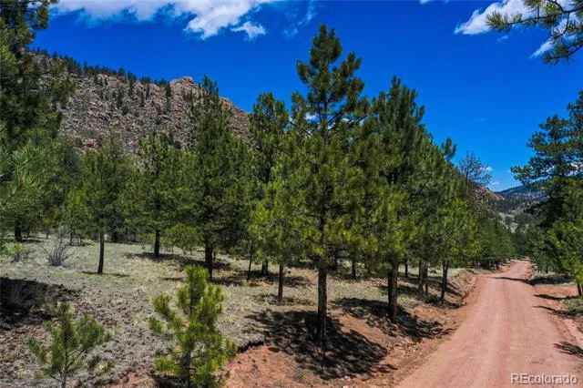 437 Langnis Road Guffey, CO 80820