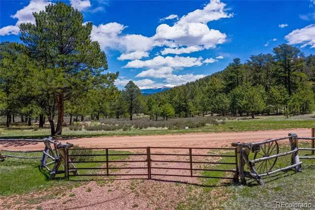 437 Langnis Road Guffey, CO 80820