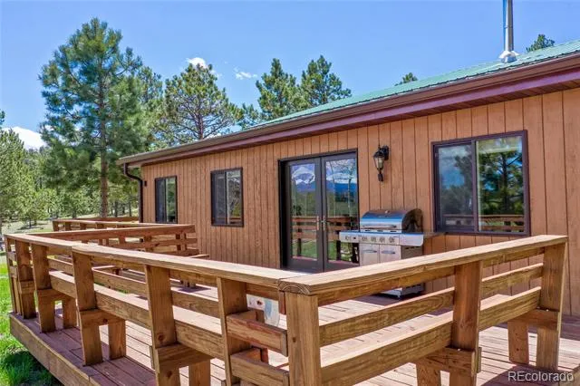 437 Langnis Road Guffey, CO 80820