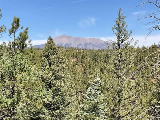 160 Acres San Pablo Canyon Weston, CO 81091