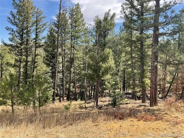 160 Acres San Pablo Canyon Weston, CO 81091