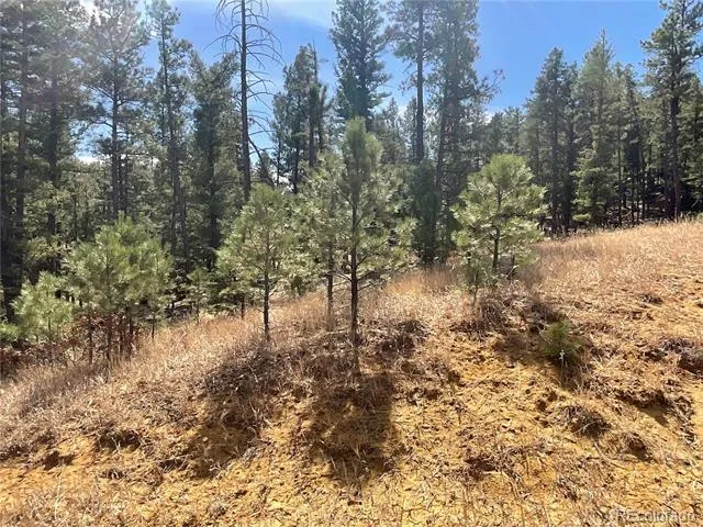 160 Acres San Pablo Canyon Weston, CO 81091