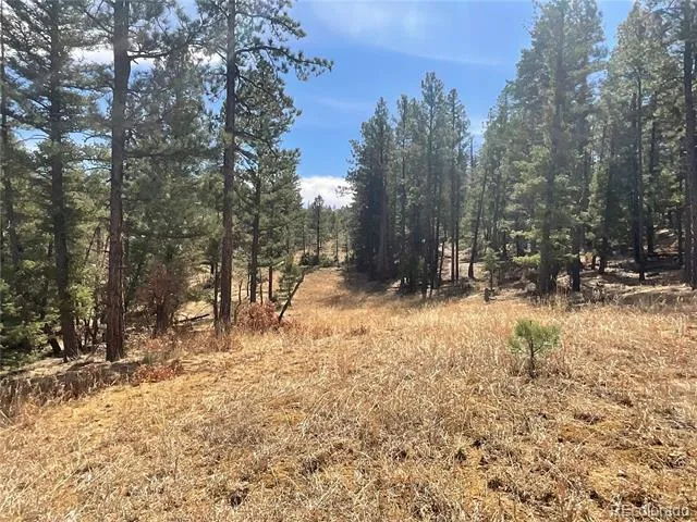 160 Acres San Pablo Canyon Weston, CO 81091