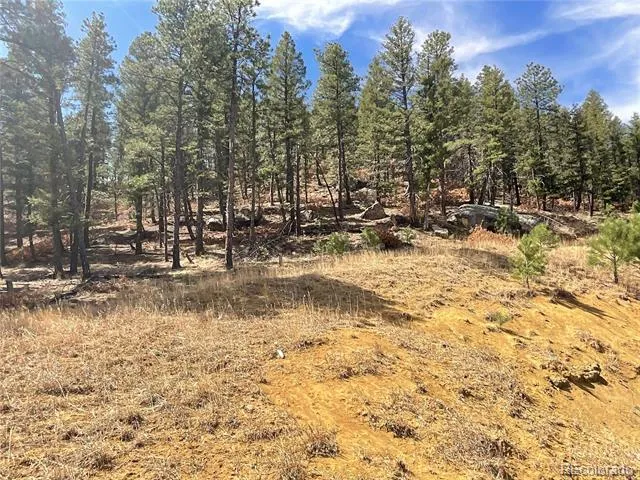 160 Acres San Pablo Canyon Weston, CO 81091
