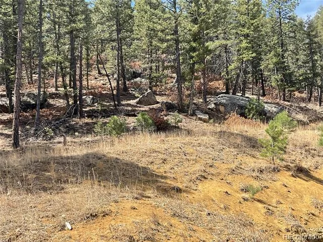 160 Acres San Pablo Canyon Weston, CO 81091