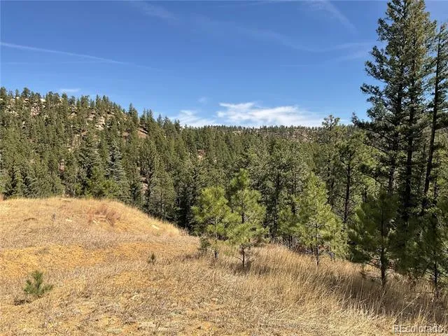 160 Acres San Pablo Canyon Weston, CO 81091