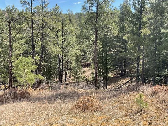 160 Acres San Pablo Canyon Weston, CO 81091