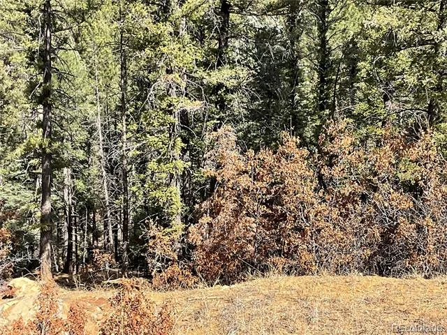160 Acres San Pablo Canyon Weston, CO 81091