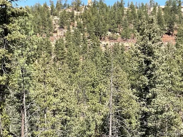 160 Acres San Pablo Canyon Weston, CO 81091