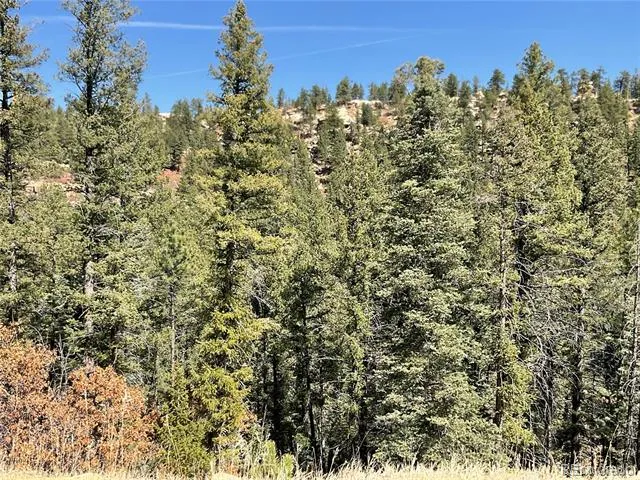 160 Acres San Pablo Canyon Weston, CO 81091