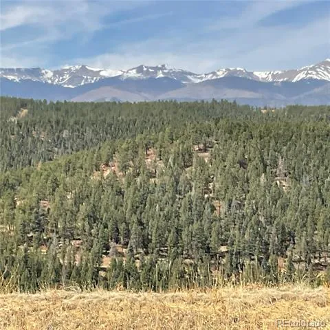160 Acres San Pablo Canyon Weston, CO 81091
