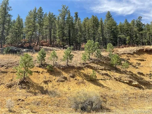 160 Acres San Pablo Canyon Weston, CO 81091