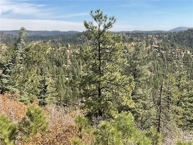 160 Acres San Pablo Canyon Weston, CO 81091