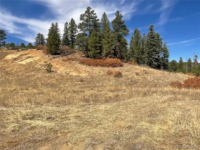 160 Acres San Pablo Canyon Weston, CO 81091