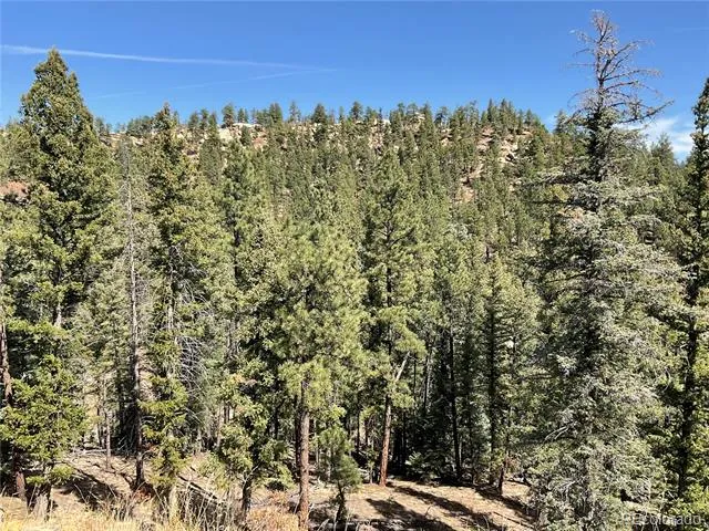160 Acres San Pablo Canyon Weston, CO 81091