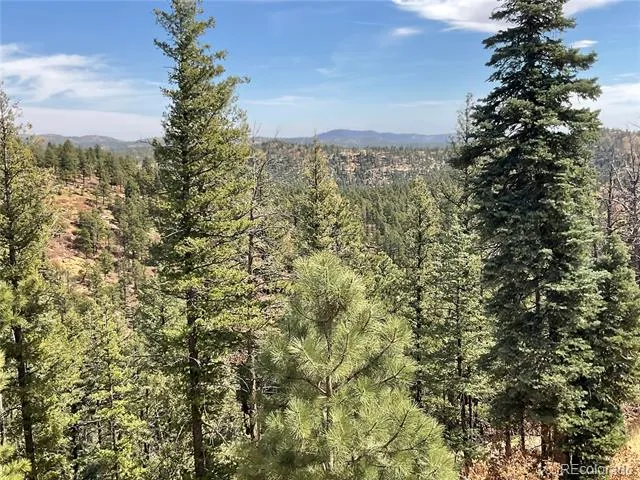 160 Acres San Pablo Canyon Weston, CO 81091