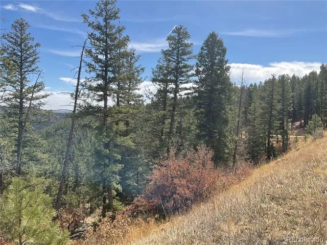 160 Acres San Pablo Canyon Weston, CO 81091
