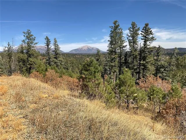 160 Acres San Pablo Canyon Weston, CO 81091