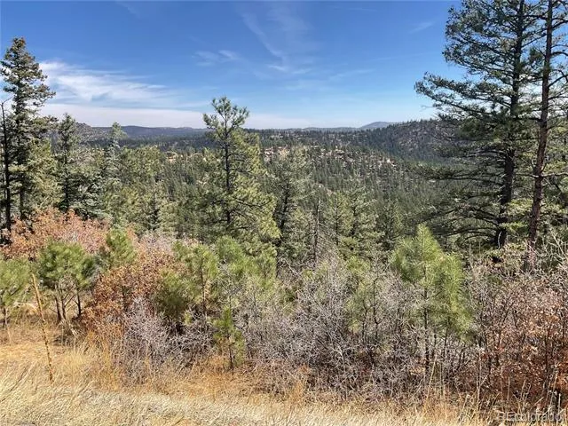 160 Acres San Pablo Canyon Weston, CO 81091