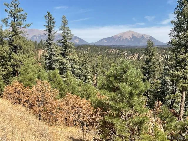 160 Acres San Pablo Canyon Weston, CO 81091