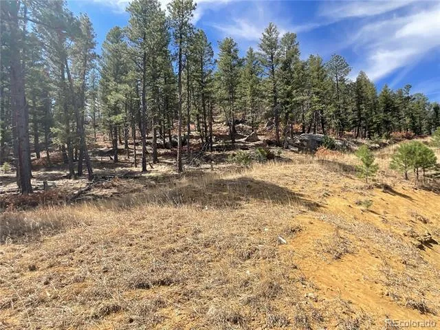 160 Acres San Pablo Canyon Weston, CO 81091