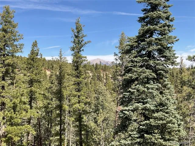 160 Acres San Pablo Canyon Weston, CO 81091