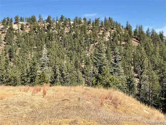 160 Acres San Pablo Canyon Weston, CO 81091