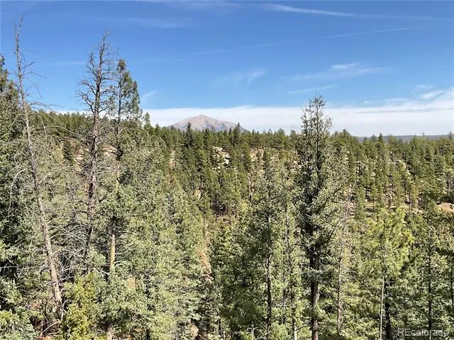 160 Acres San Pablo Canyon Weston, CO 81091