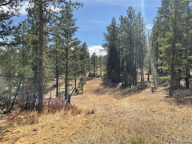 160 Acres San Pablo Canyon Weston, CO 81091