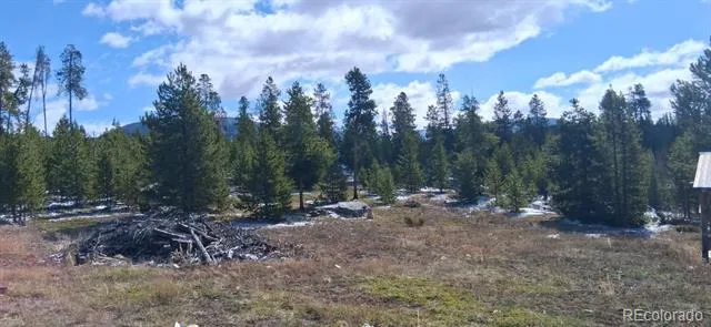 164 County Road 443 Grand Lake, CO 80447