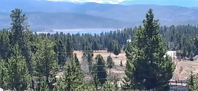 164 County Road 443 Grand Lake, CO 80447