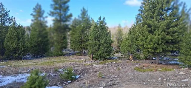 164 County Road 443 Grand Lake, CO 80447