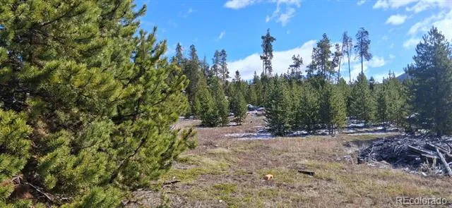 164 County Road 443 Grand Lake, CO 80447