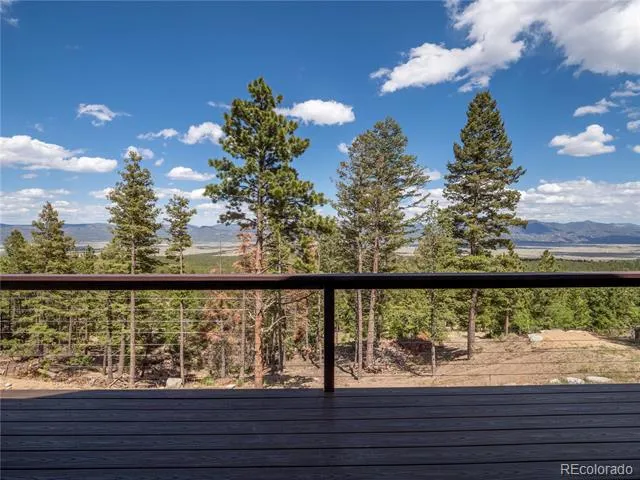 16874 County Road 325 Buena Vista, CO 81211