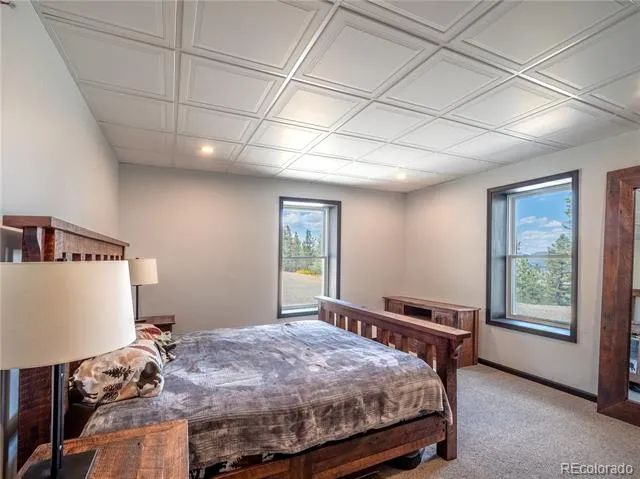 16874 County Road 325 Buena Vista, CO 81211