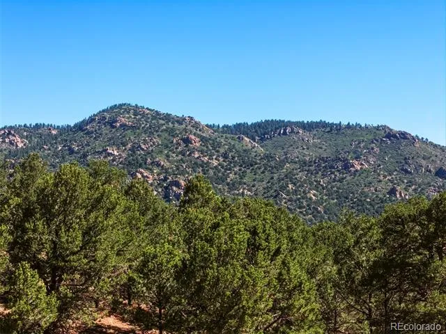 Ponderosa Trail Canon City, CO 81212