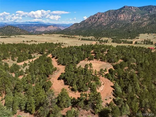 Ponderosa Trail Canon City, CO 81212