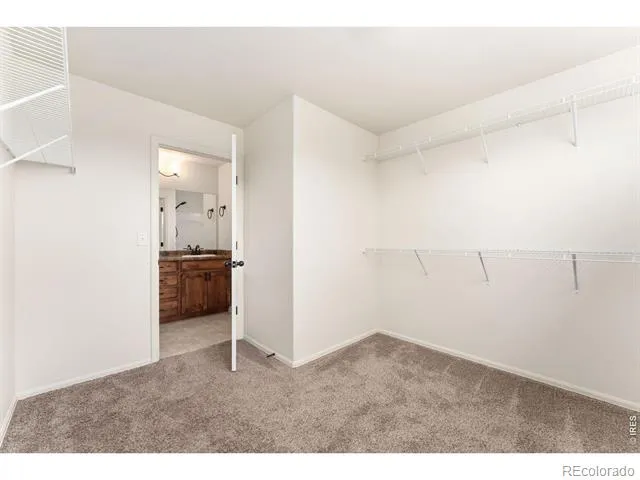 811 Saiga Drive Severance, CO 80550