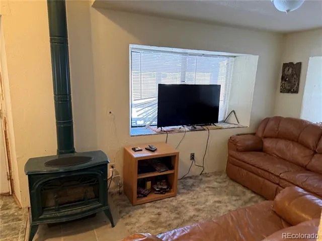 29885 County Road 46aa Villa Grove, CO 81155