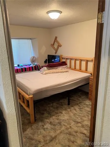 29885 County Road 46aa Villa Grove, CO 81155