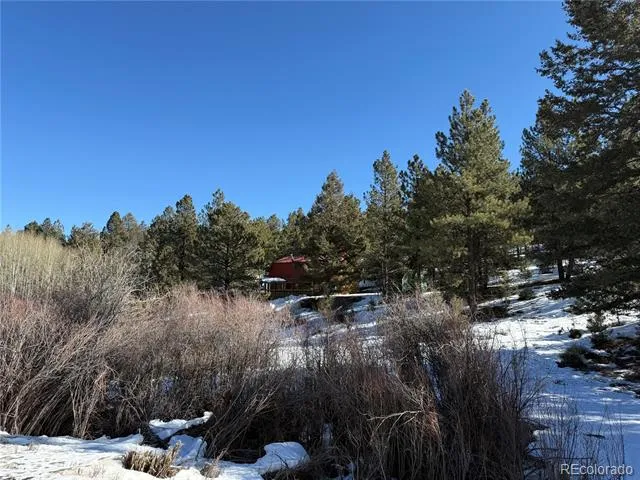 29885 County Road 46aa Villa Grove, CO 81155