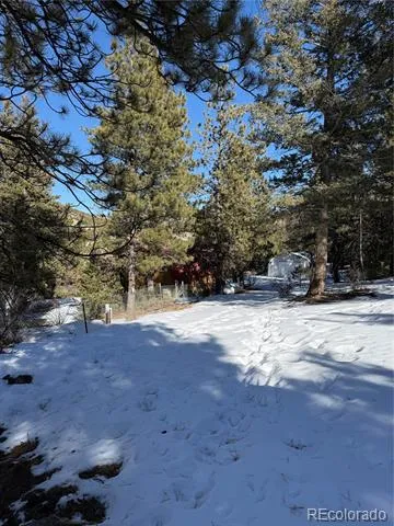 29885 County Road 46aa Villa Grove, CO 81155