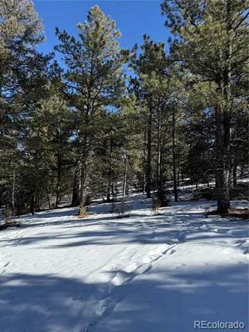 29885 County Road 46aa Villa Grove, CO 81155